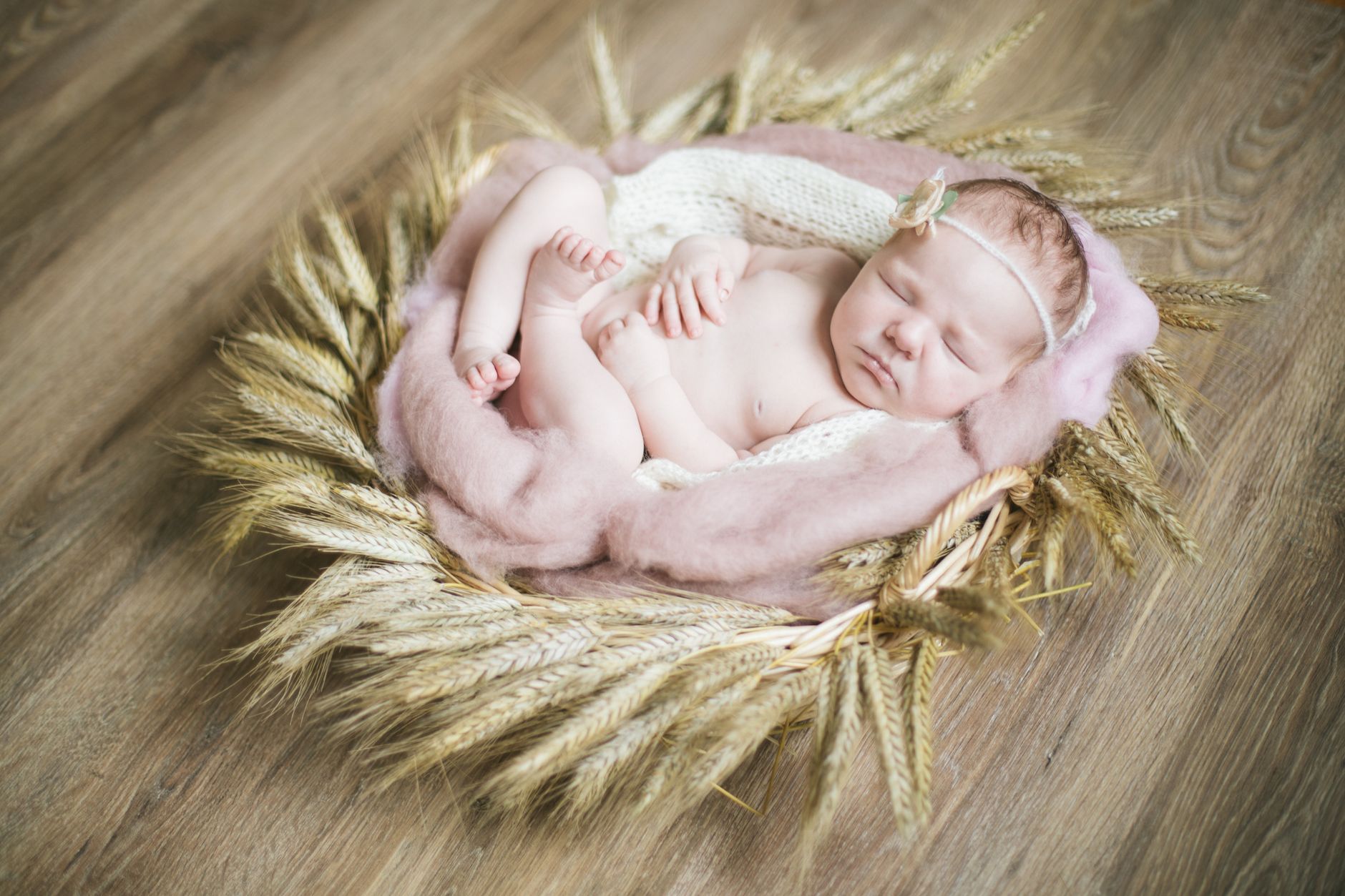 Ilustrasi: A peaceful baby girl sleeping comfortably in a nest made of soft materials and wheat stalks indoors.
