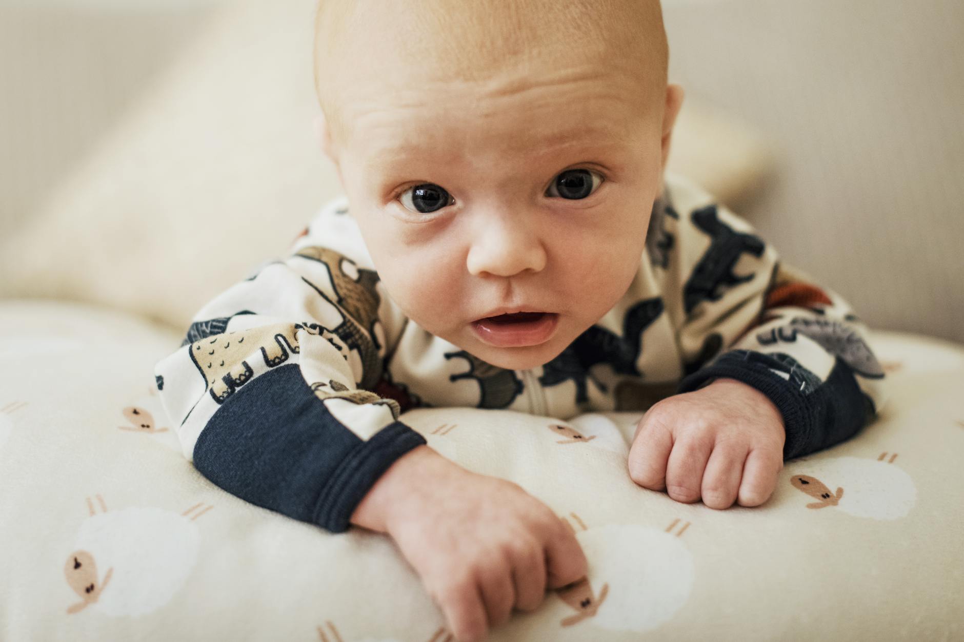 Ilustrasi: Close-up of a cute baby boy in a cozy animal print outfit, looking curiously at the camera.